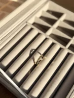 Eterna Ring - Image 3