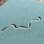 Tiny Silver Tennis Bracelet