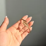 Gold Leaf Handcuff